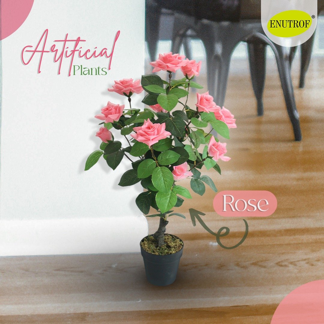 Beautiful Pink Rose Artificial Plants With Basic White Pot ||75cm Height