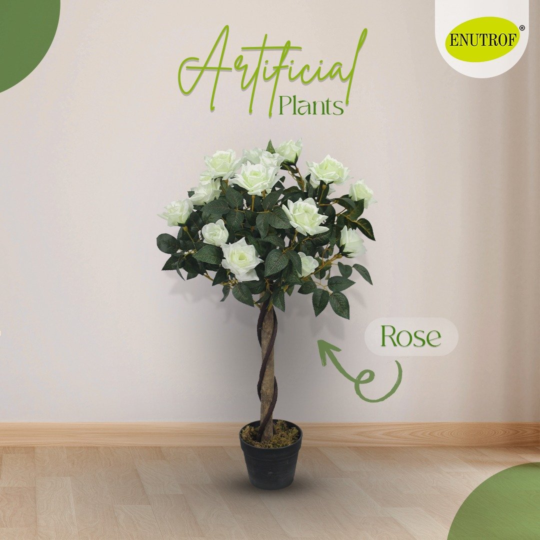 White Rose Artificial Plant With Basic White Pot || 90cm Height