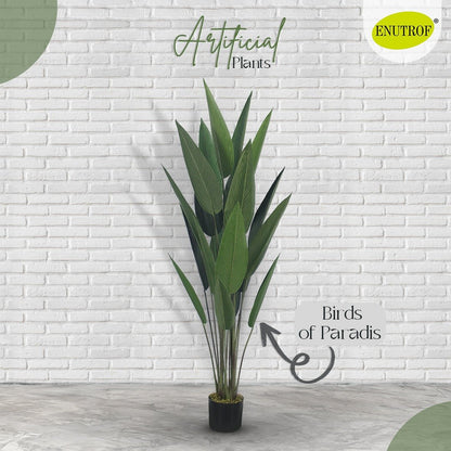 Birds of Paradise Artificial Plant With Basic White Pot || 140cm Height