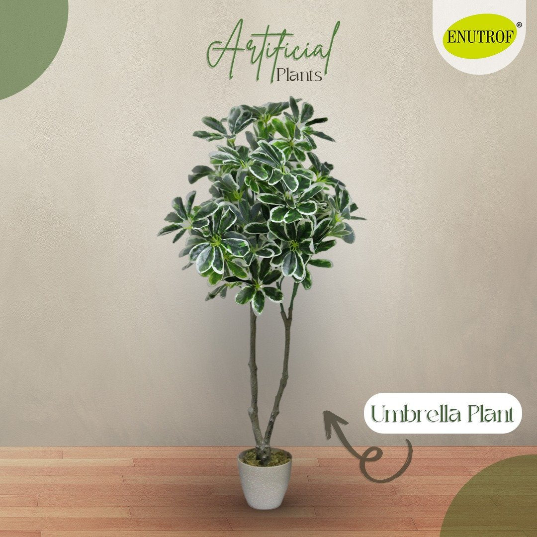 Elegant ficus tree Artificial Plants With Basic White Pot