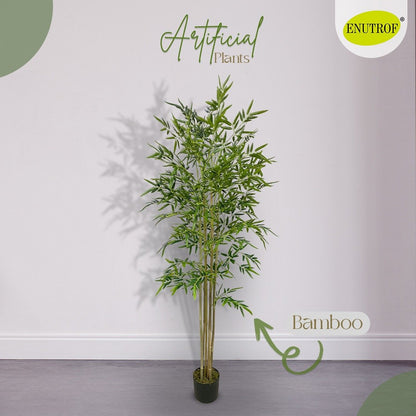 Bamboo Artificial Plant  With Basic White Pot || 180cm Height