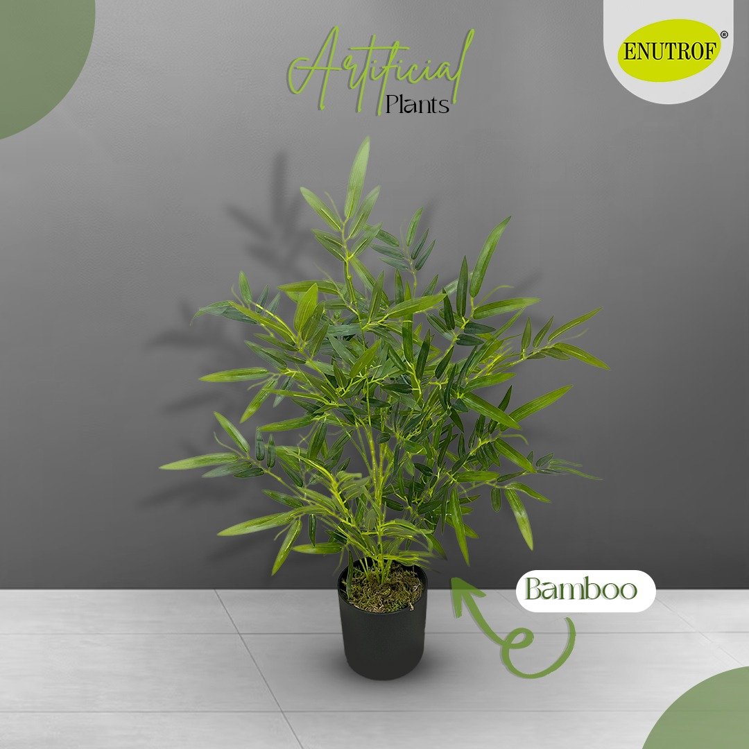 Bamboo Artificial Plant With Basic White Pot || 60cm Height