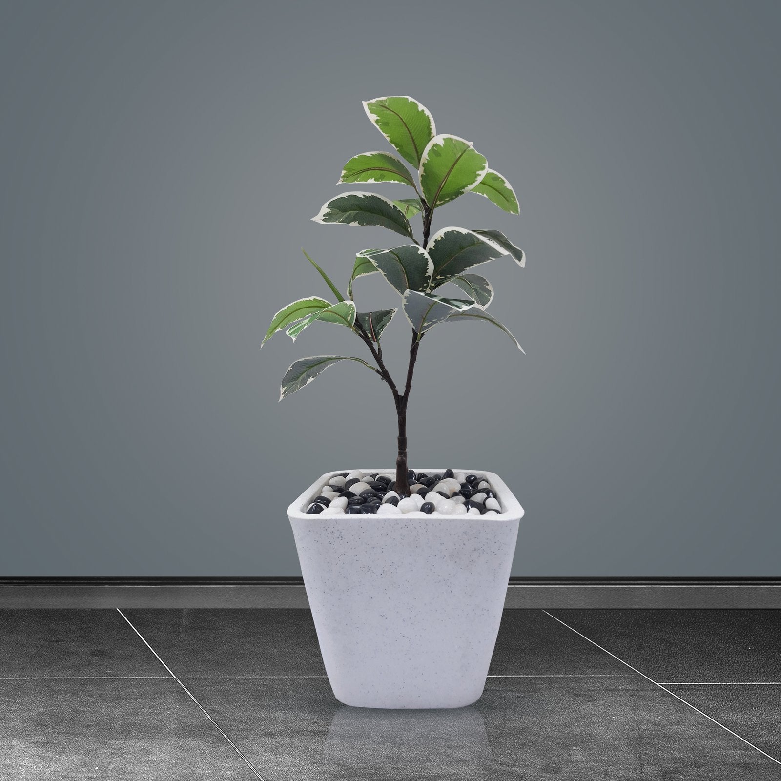 Indoor Rubber Plant Tree Artificial With Basic White Pot || Size:77 Cm Height