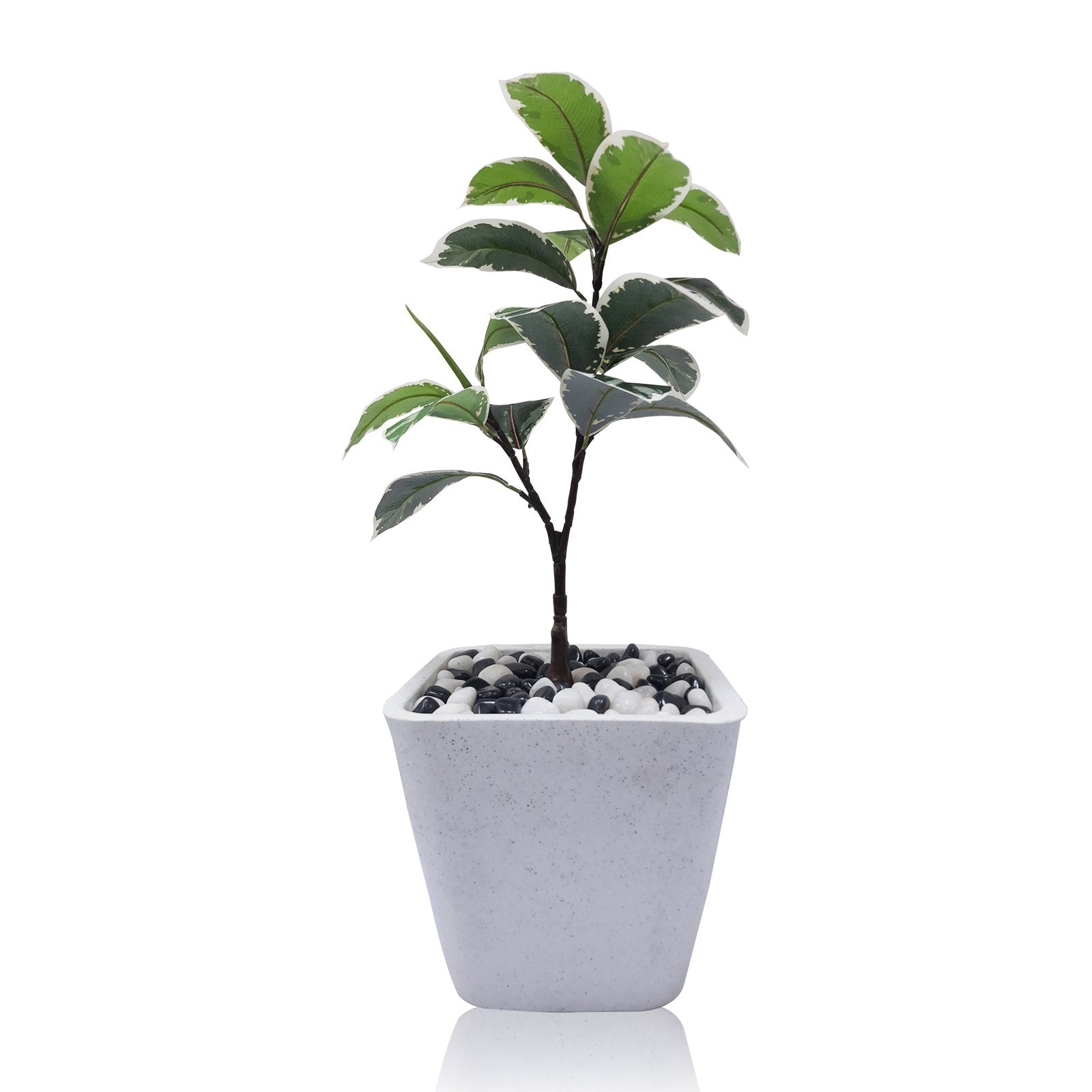 Indoor Rubber Plant Tree Artificial With Basic White Pot || Size:77 Cm Height