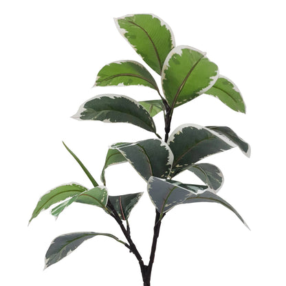 Indoor Rubber Plant Tree Artificial With Basic White Pot || Size:77 Cm Height