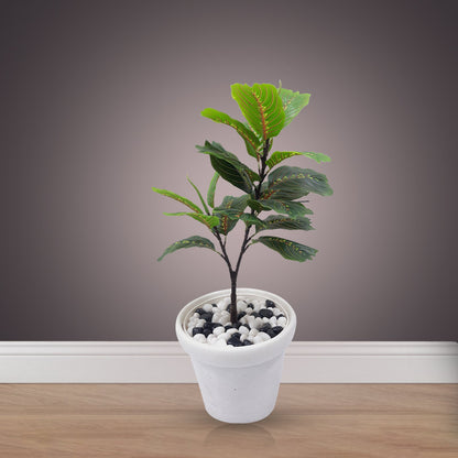 Garden Croton Artificial Plant With Basic White Pot || Size: 78 Cm