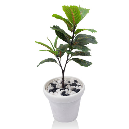 Garden Croton Artificial Plant With Basic White Pot || Size: 78 Cm