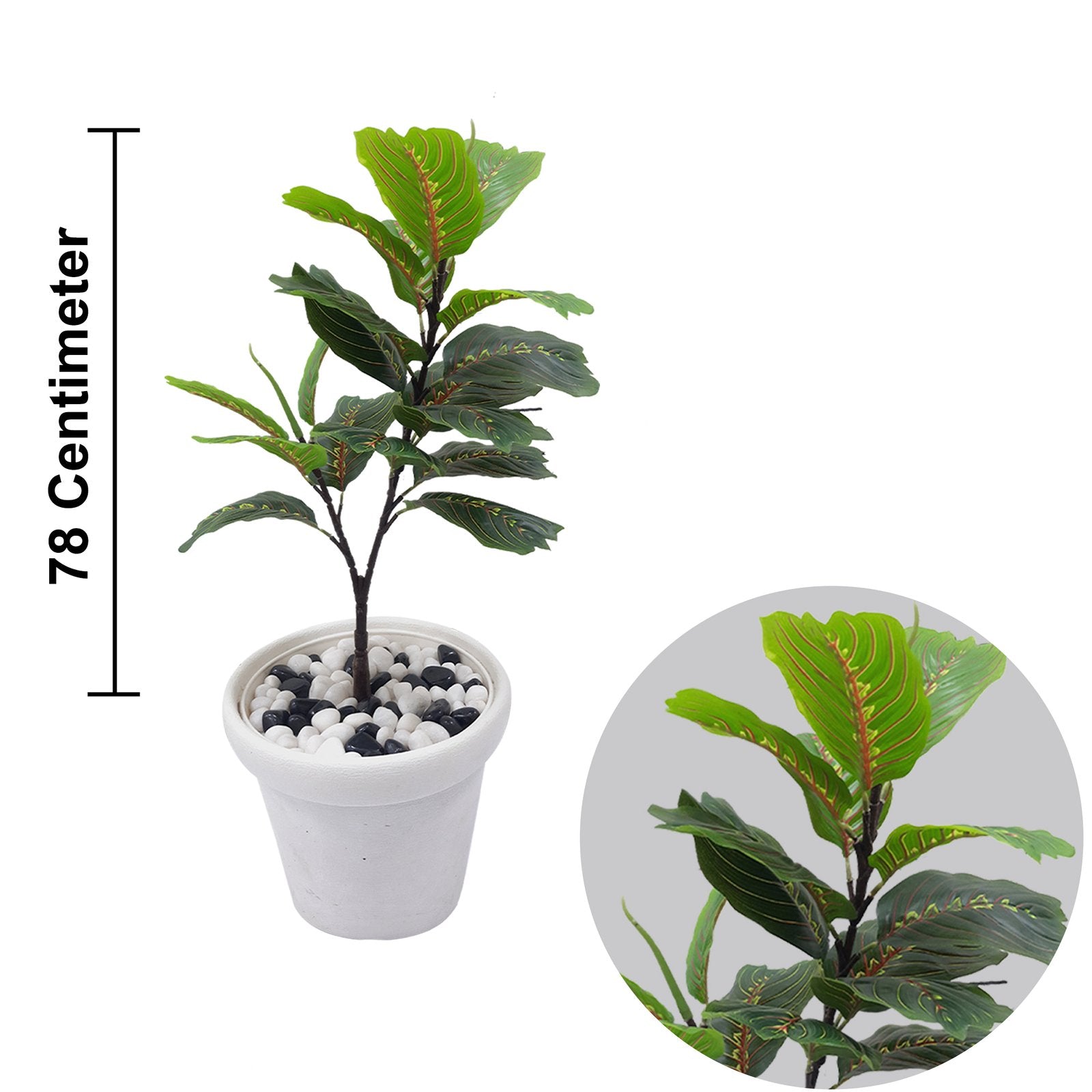 Garden Croton Artificial Plant With Basic White Pot || Size: 78 Cm