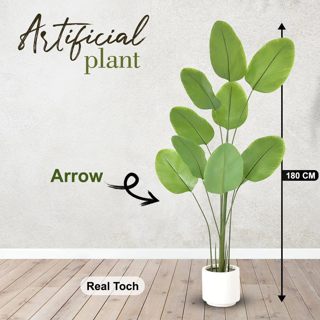 Arrow Artificial Plant (180 CM) My Store