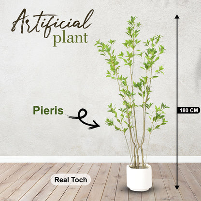 Pieris Artificial Plant – 180 CM | Indoor Decorative Green Plant Enutrof Decor