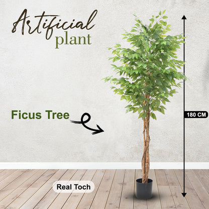 Artificial Ficus Tree – 180 CM | Indoor Green Decorative Tree Enutrof Decor