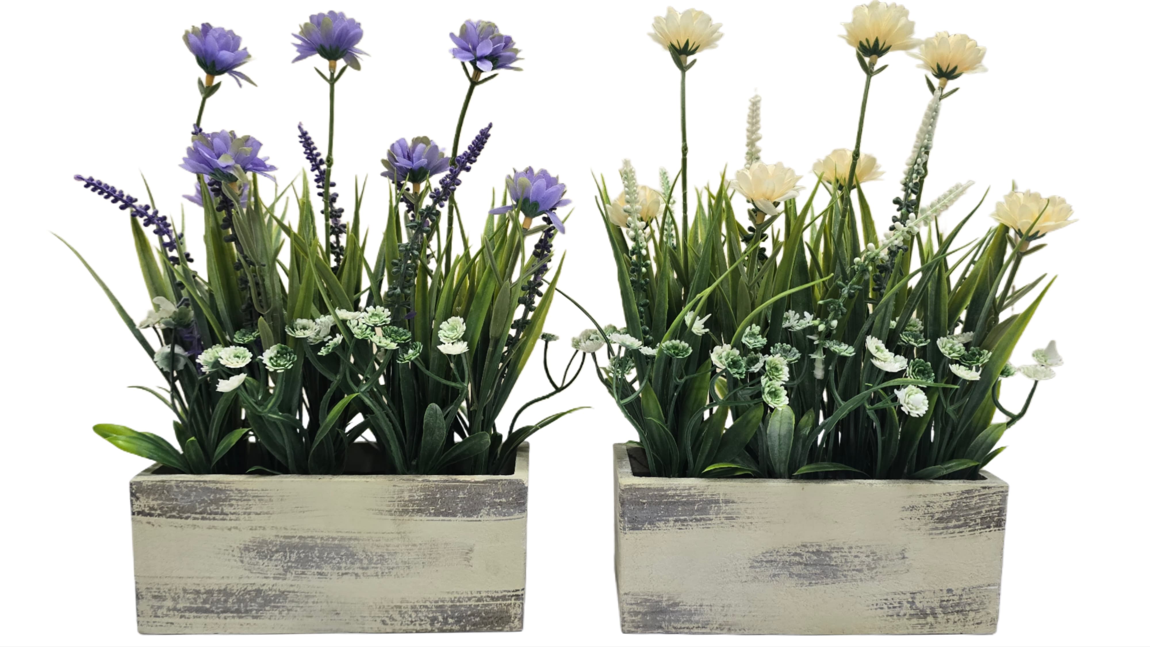 Flower plant Enutrof Decor