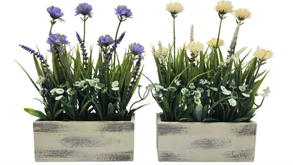 Flower plant Enutrof Decor