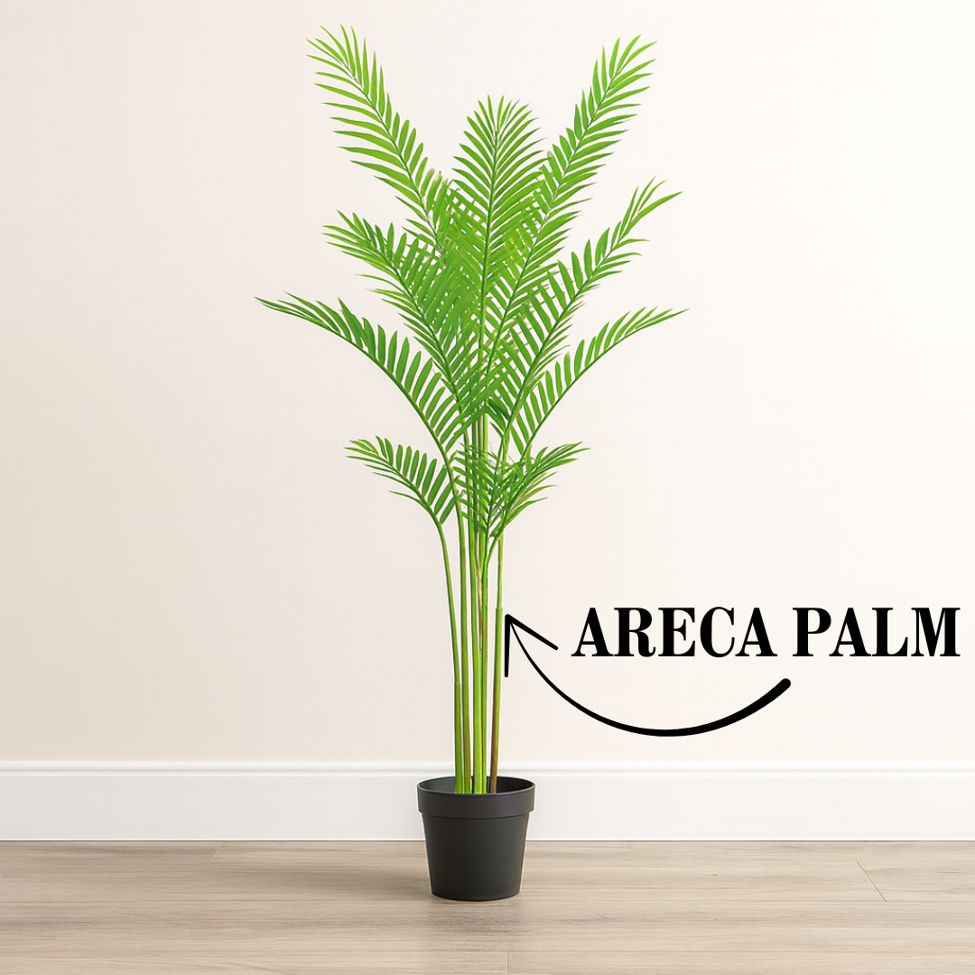 6 ft Artificial Areca Palm Plant | Realistic Tall Tropical Indoor Décor Enutrof Decor