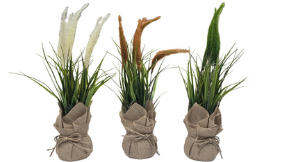 Plastic Bonsai with Sack | Onion Grass Artificial Table Décor (48 CM) Enutrof Decor