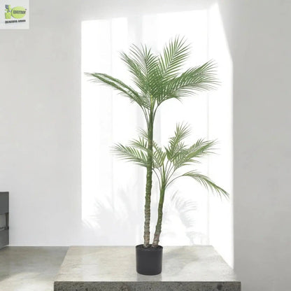 Palm Tree My Store