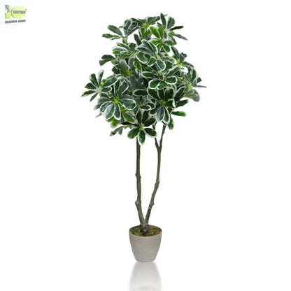 Artificial  Umbrella Plant with White Pot (100 cm Height) My Store
