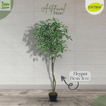 Artificial  Umbrella Plant with White Pot (100 cm Height) My Store