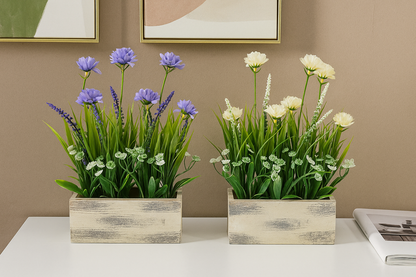 Flower plant Enutrof Decor