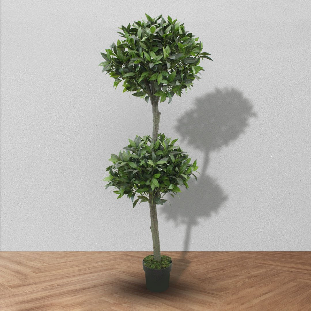 Topiary Bay Tree With Basic Black Pot