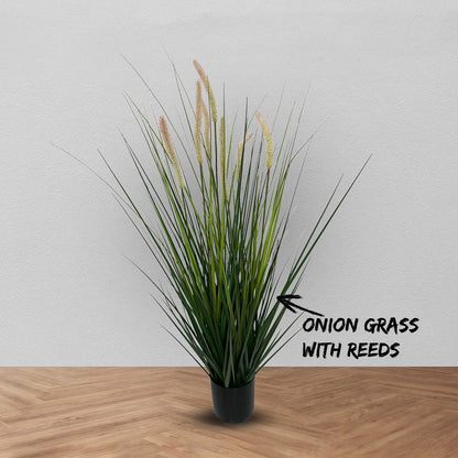 Onion grass with reeds