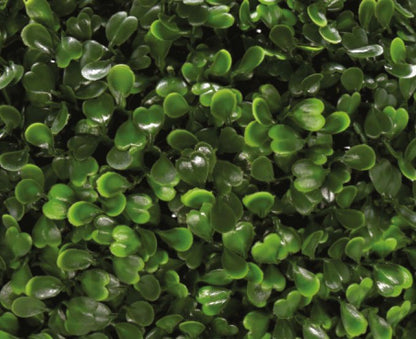 Boxwood (Green)