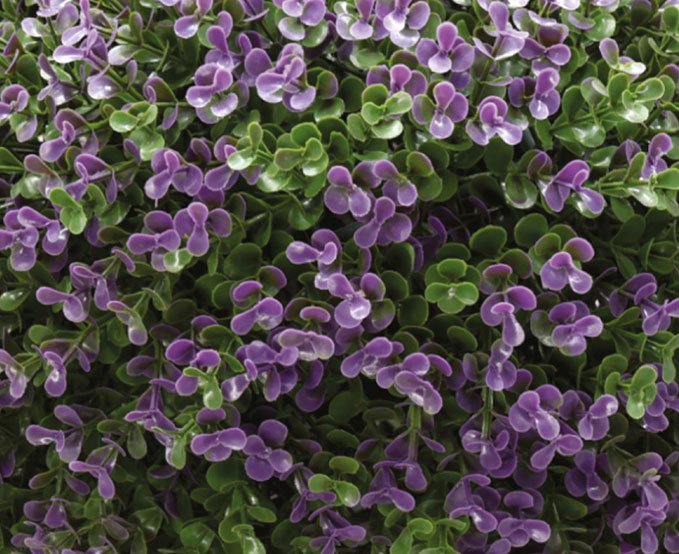 Buxus Ball (Purple)