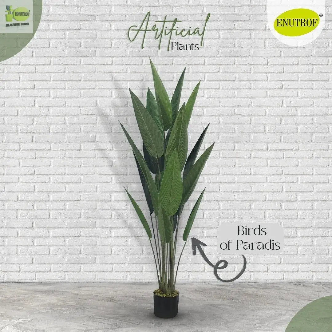 Birds of Paradise Artificial Plant With Basic White Pot || 140cm Height My Store