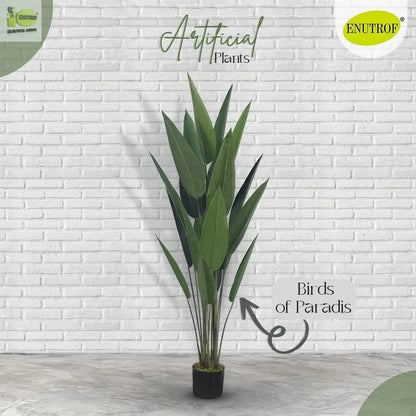 Birds of Paradise Artificial Plant With Basic White Pot || 140cm Height My Store