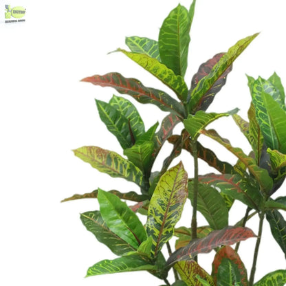 Codiaeum Artificial Plants With Basic White Pot ||100cm Height My Store