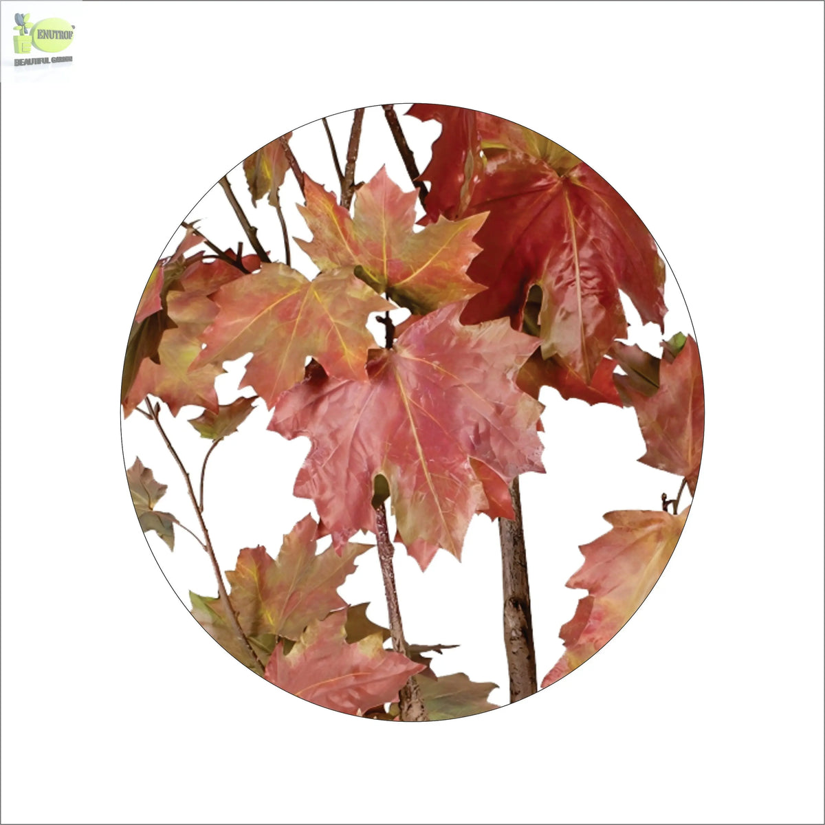 ENUTROF Artificial Autumn Maple Tree – 150cm Dramatic Red-Orange Fake Plant for Home Decor ENUTROF