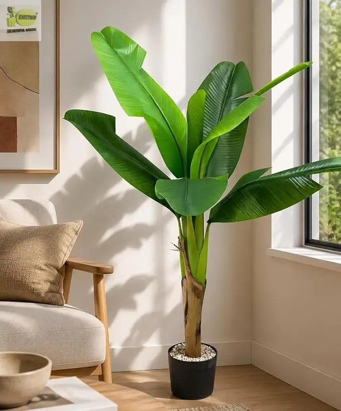 ENUTROF Artificial Banana Plant Musa – 130cm Fake Tropical Plant for Home & Office Decor ENUTROF