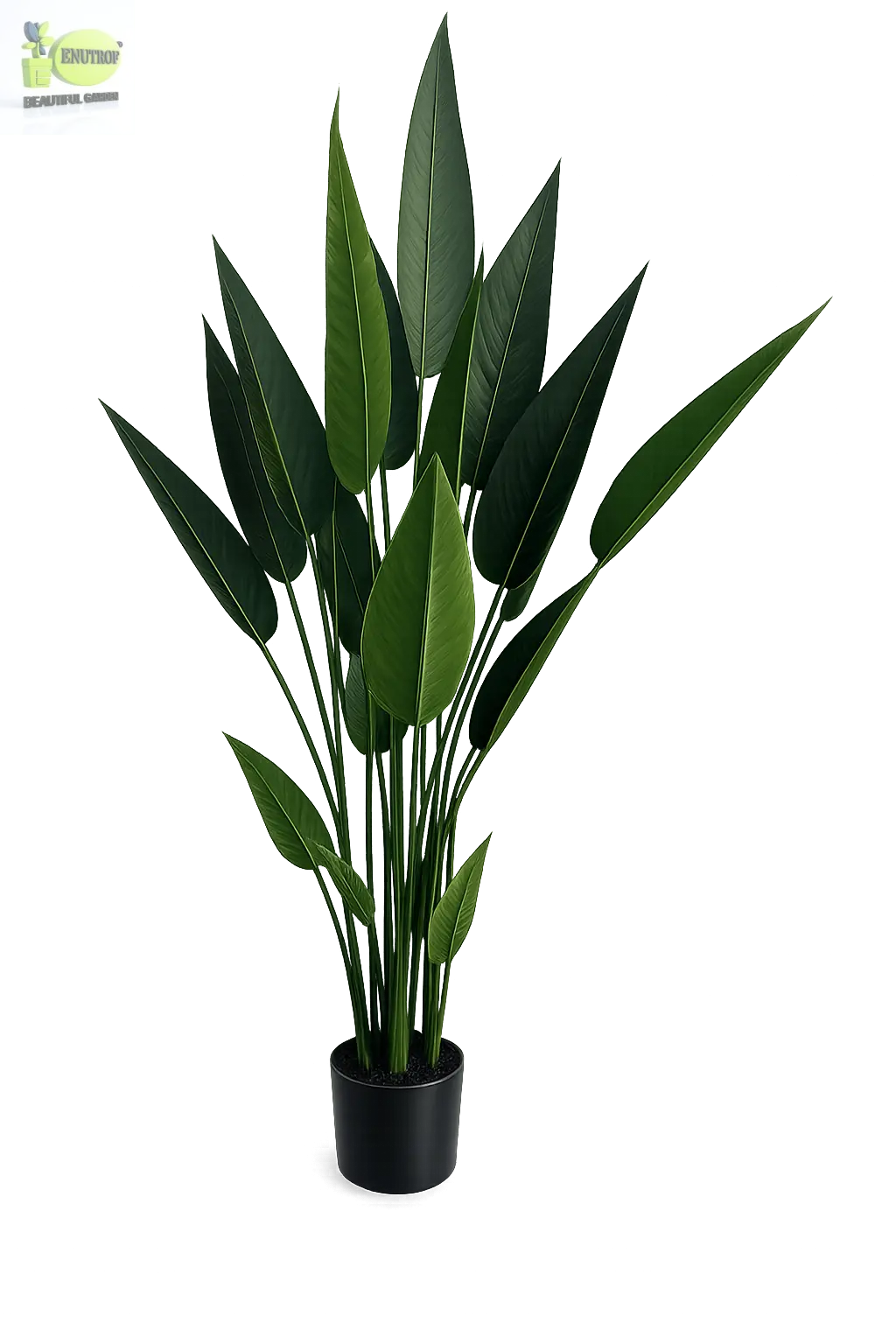 ENUTROF Artificial Bird of Paradise – 160cm Tall Fake Strelitzia Plant for Home & Commercial Decor ENUTROF