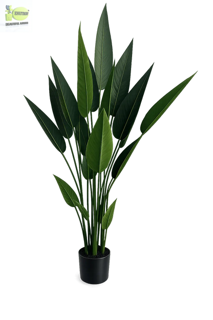 ENUTROF Artificial Bird of Paradise – 160cm Tall Fake Strelitzia Plant for Home & Commercial Decor ENUTROF