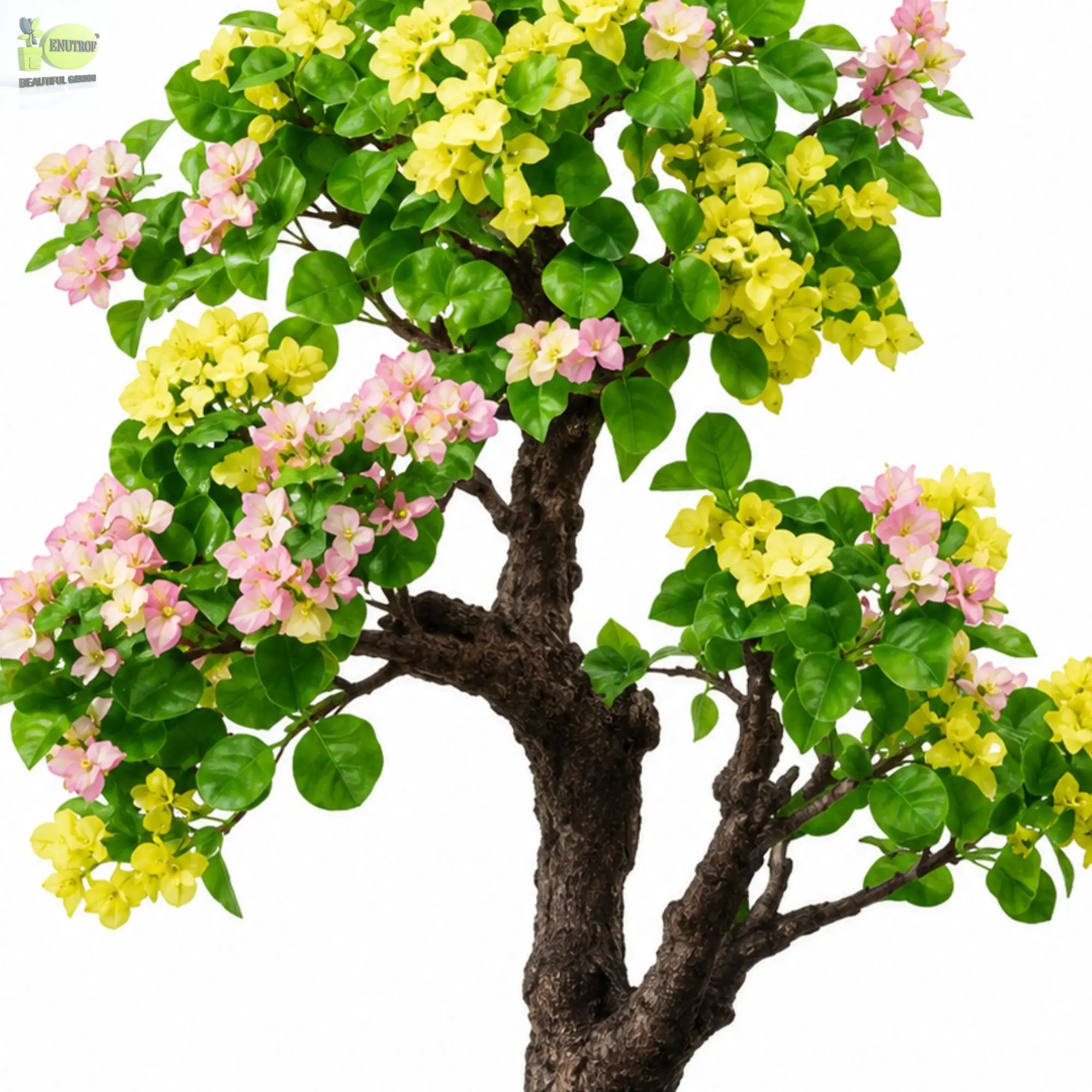 ENUTROF Artificial Bougainvillea Bonsai – 90cm Yellow-Pink Fake Flowering Bonsai Tree ENUTROF