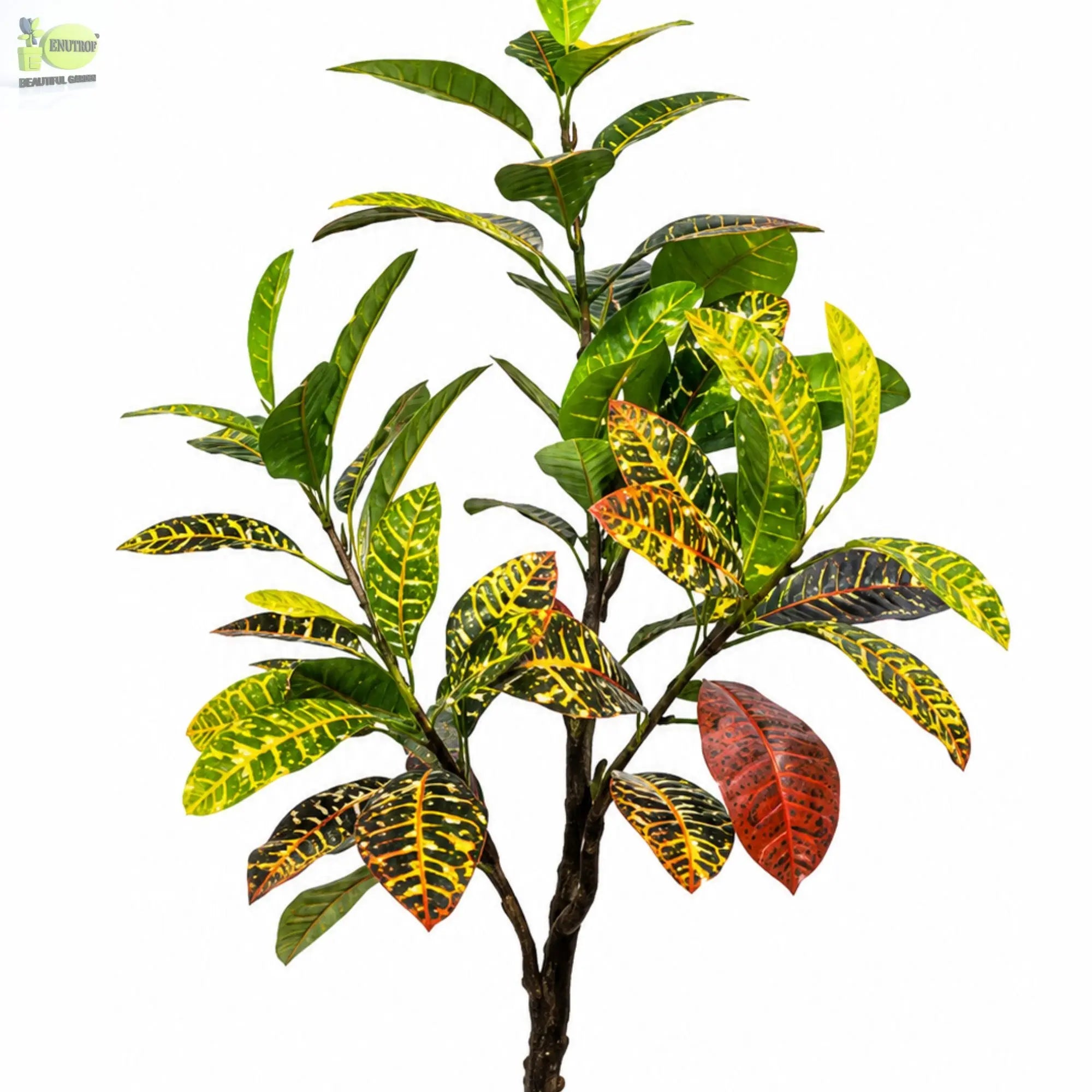 ENUTROF Artificial Croton Plant – 120cm Vibrant Multicolour Fake Plant for Home Decor ENUTROF