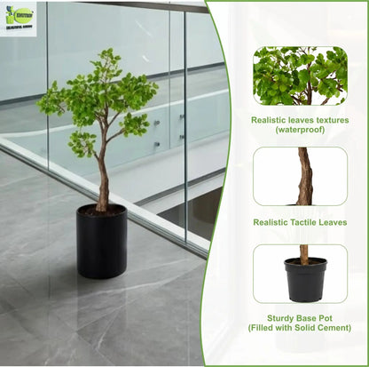ENUTROF Artificial Ficus Ginseng Bonsai Tree – 60cm Classic Fake Bonsai for Office & Home Decor ENUTROF