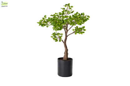 ENUTROF Artificial Ficus Ginseng Bonsai Tree – 60cm Classic Fake Bonsai for Office & Home Decor ENUTROF