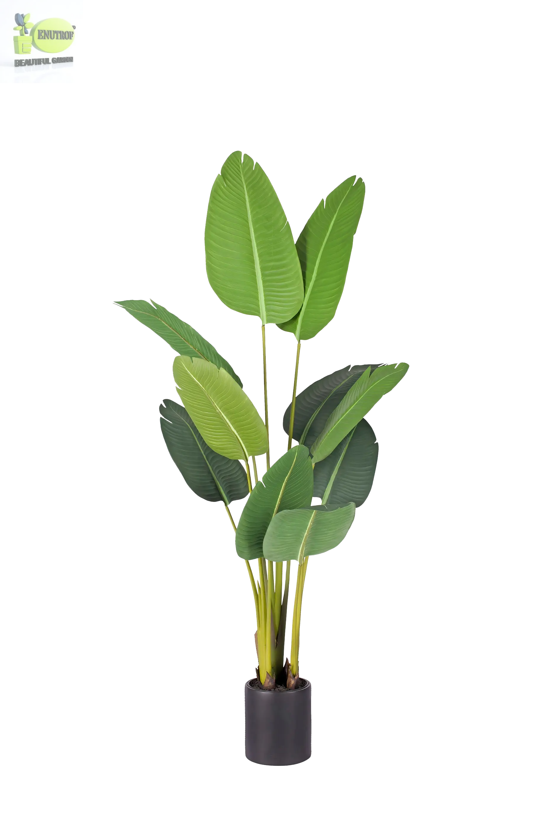 ENUTROF Artificial Giant Bird of Paradise – 220cm Majestic Fake Plant for Hotel & Luxury Decor ENUTROF
