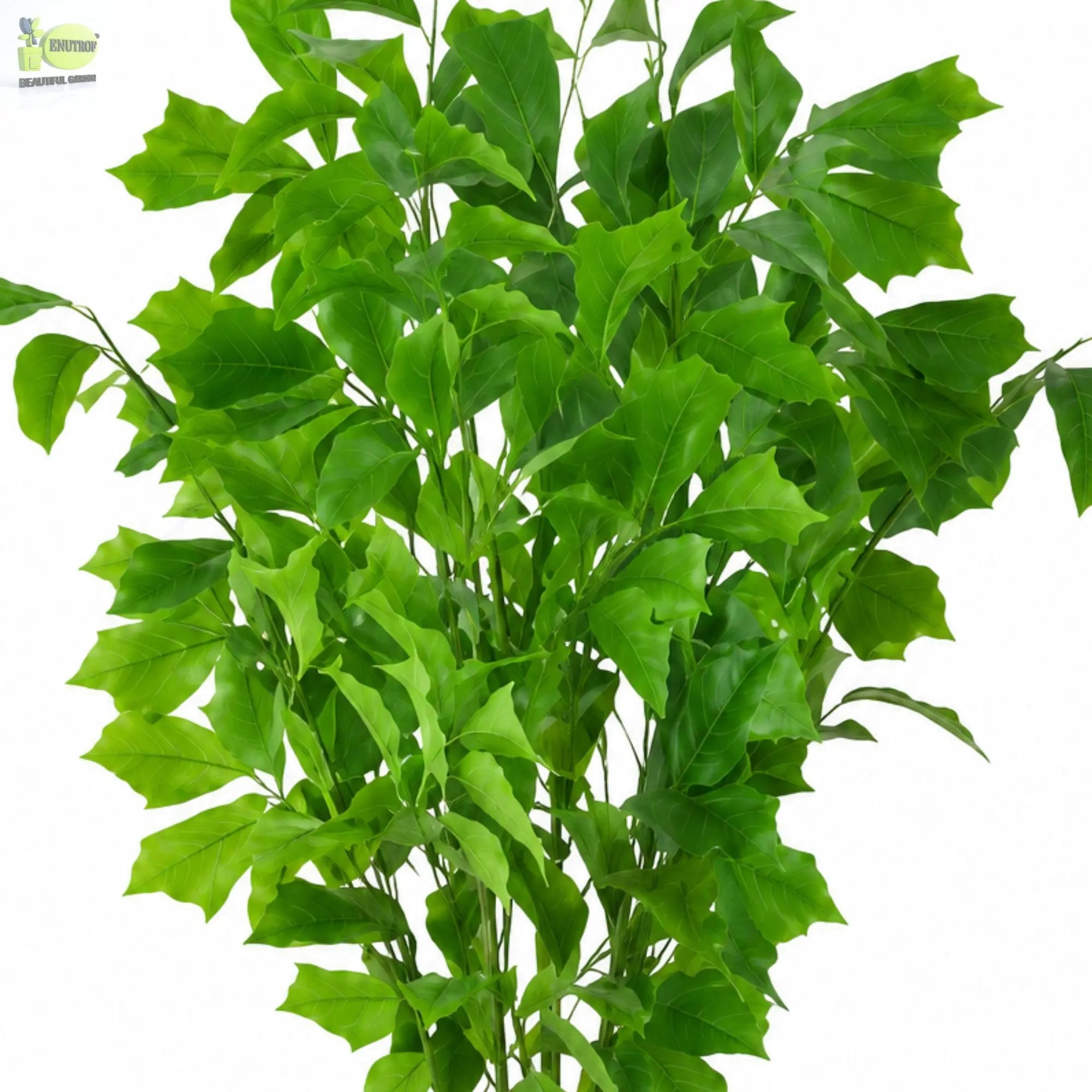 ENUTROF Artificial Ginkgo Maidenhair Tree – 120cm Unique Fan-Leaf Plant for Home Decor ENUTROF