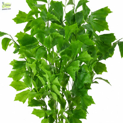 ENUTROF Artificial Ginkgo Maidenhair Tree – 120cm Unique Fan-Leaf Plant for Home Decor ENUTROF