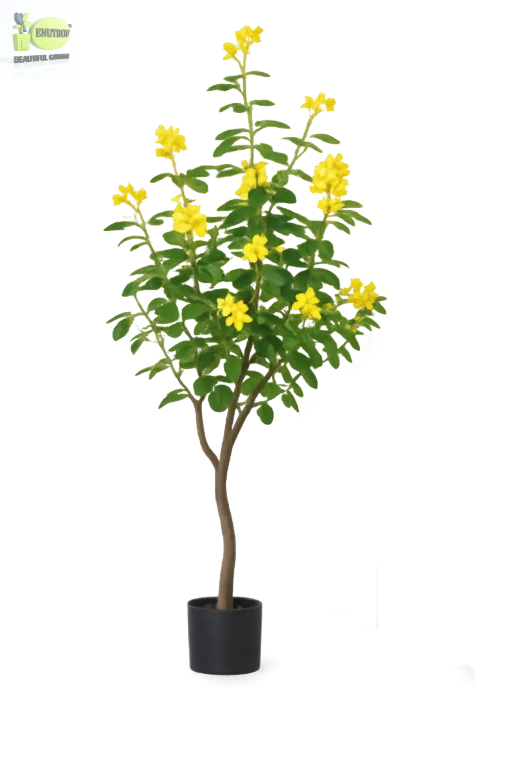 ENUTROF Artificial Golden Cassia Flowering Tree – 150cm Fake Yellow Blooming Plant for Home Decor ENUTROF