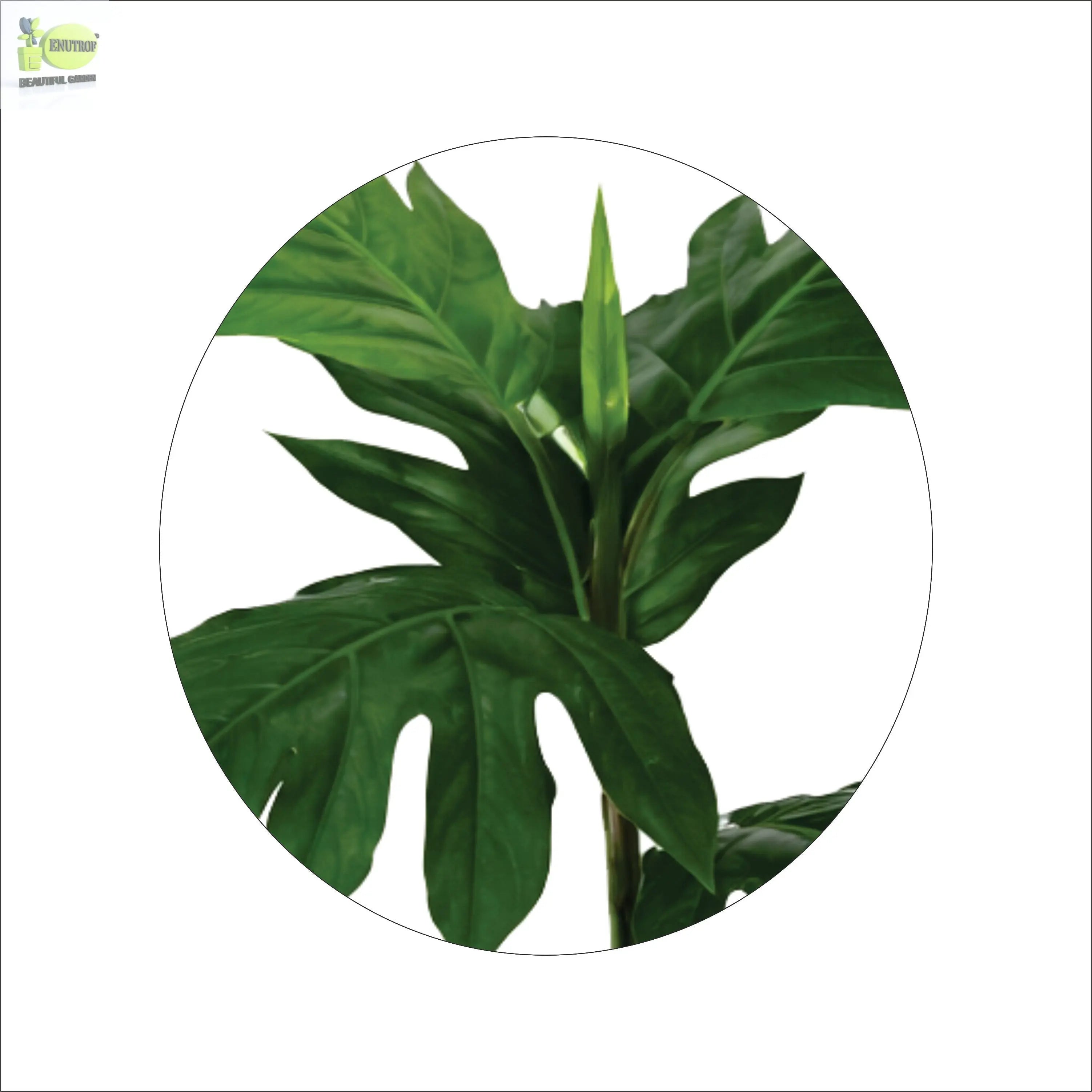 ENUTROF Artificial Monstera Split-Leaf Philodendron – 60cm Compact Fake Plant for Desk & Shelf ENUTROF