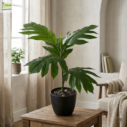 ENUTROF Artificial Monstera Split-Leaf Philodendron – 60cm Compact Fake Plant for Desk & Shelf ENUTROF