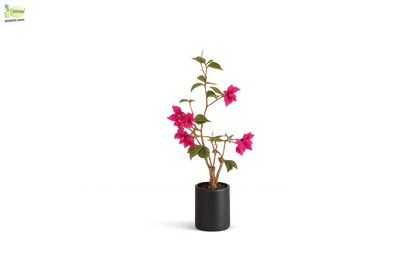 ENUTROF Artificial Pink Bougainvillea Plant – 90cm Compact Fake Flowering Plant for Home Decor ENUTROF