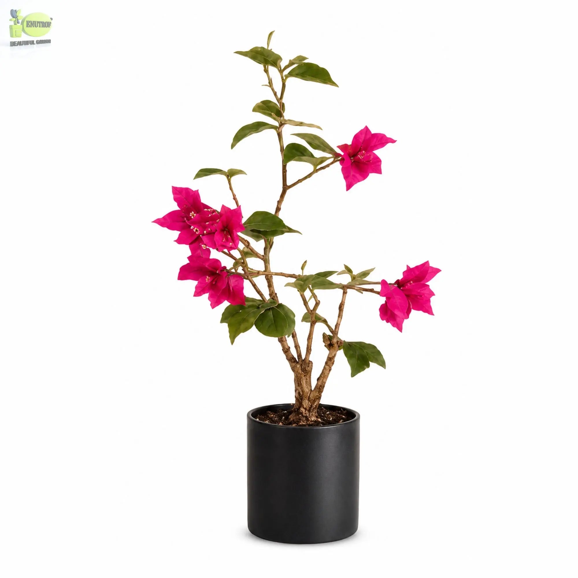ENUTROF Artificial Pink Bougainvillea Plant – 90cm Compact Fake Flowering Plant for Home Decor ENUTROF