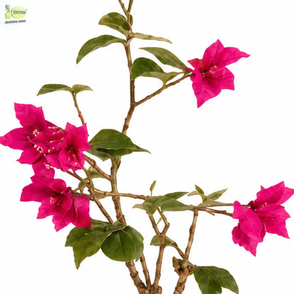 ENUTROF Artificial Pink Bougainvillea Plant – 90cm Compact Fake Flowering Plant for Home Decor ENUTROF