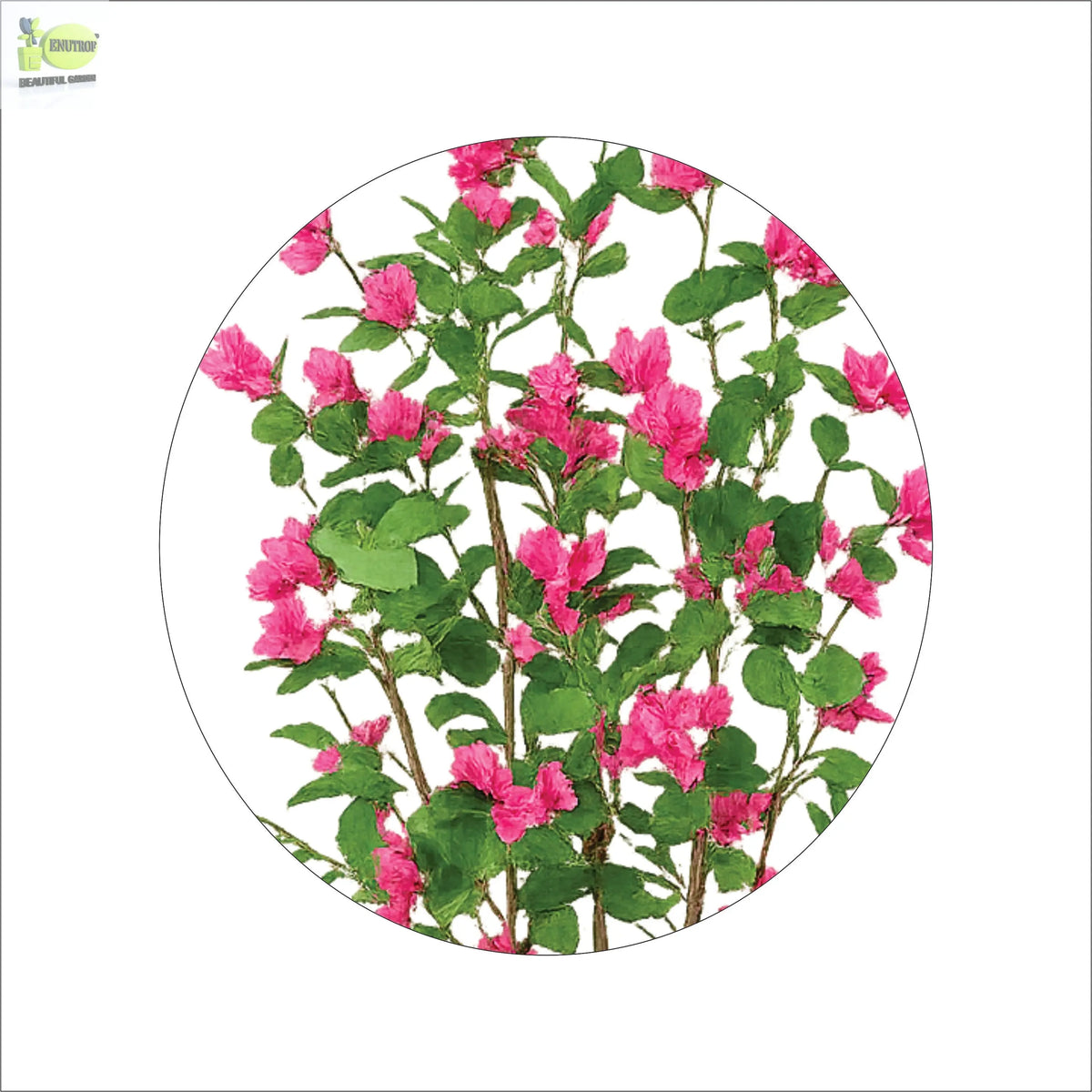 ENUTROF Artificial Pink Bougainvillea Tree – 150cm Lush Fake Flowering Plant for Home & Events ENUTROF