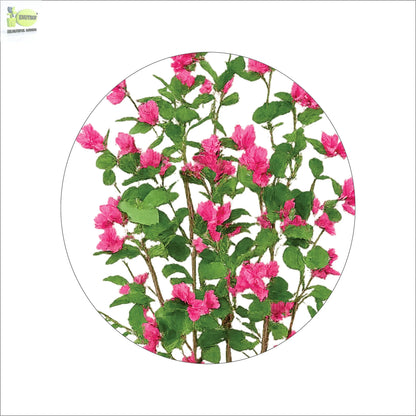 ENUTROF Artificial Pink Bougainvillea Tree – 150cm Lush Fake Flowering Plant for Home & Events ENUTROF