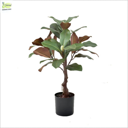 ENUTROF Artificial Rubber Plant Ficus Elastica – 60cm Compact Fake Plant for Desk & Home Decor ENUTROF